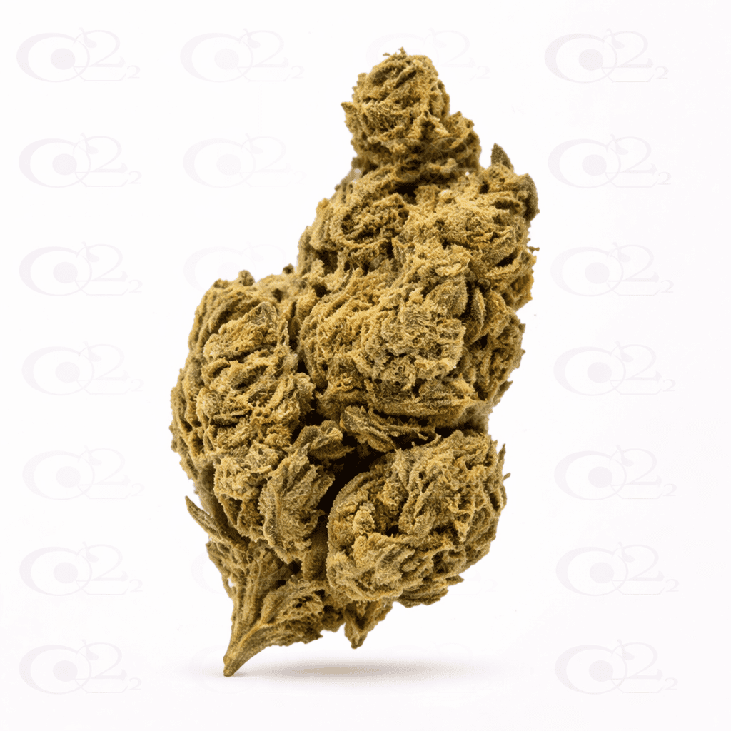 f5cd95b1-3e9d-4674-b78a-8152414076b7.png