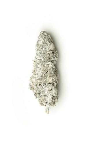 e5721c42-eed4-44fd-b1bd-f5fc3481b337.png