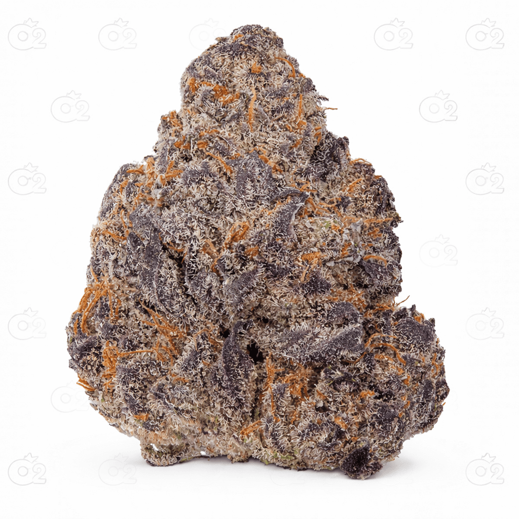 a5812954-c3c6-4d0c-b2ae-b9288ef65a9d.png